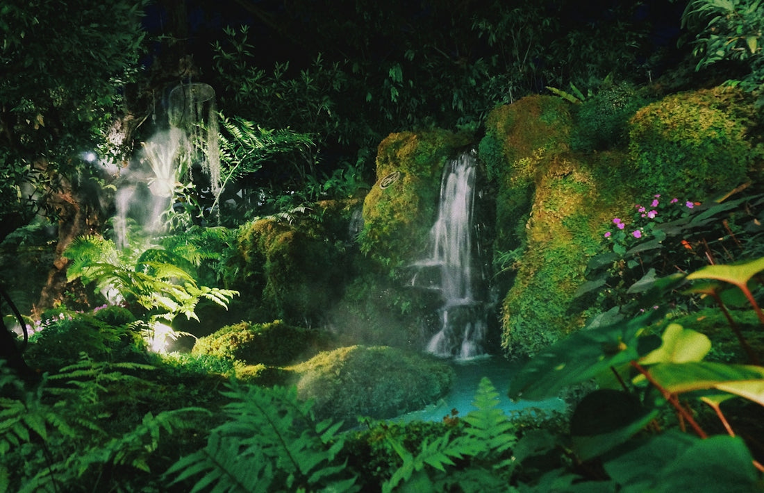 A small waterfall cascading over mossy rocks into a pool in a lush garden