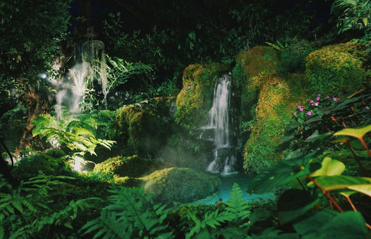 A small waterfall cascading over mossy rocks into a pool in a lush garden