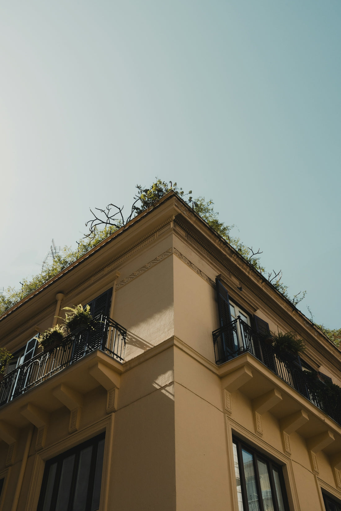 A corner of a building with a blue sky.