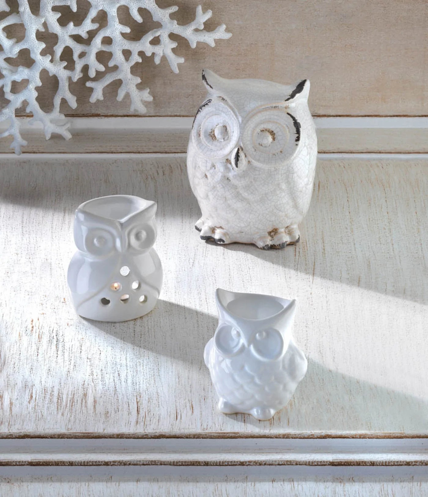 Charming Owl Oil Warmer image 2