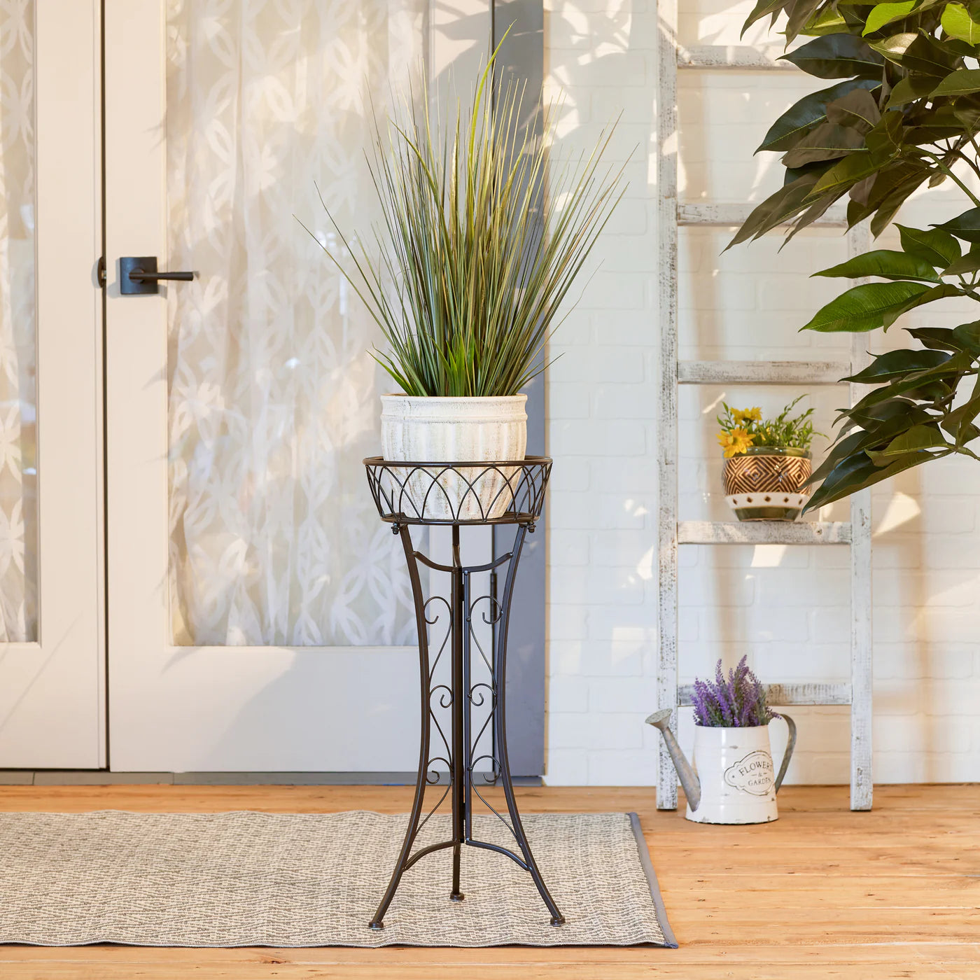 Curlicue Single Plant Stand image 2