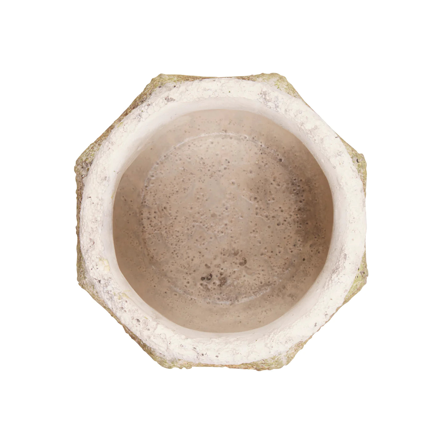 Ancient Leaf Cement Flower Pot Set/2 image 2