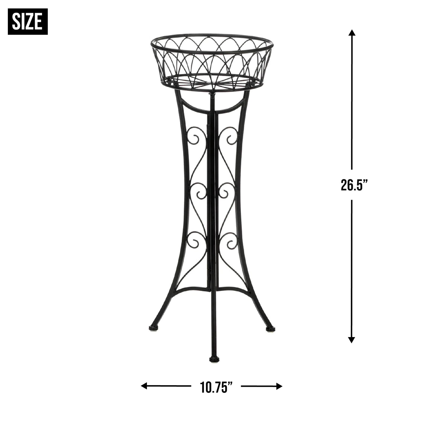 Curlicue Single Plant Stand image 4