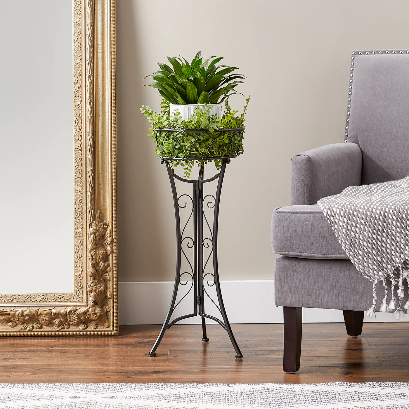 Curlicue Single Plant Stand image 3